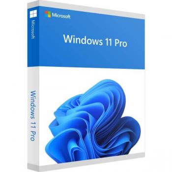 MS Windows 11 prof.